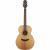 Takamine GN20-NS akoestische westerngitaar