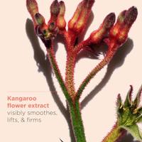 Clarins Extra-Firming Nuit Regenerating Night Cream 50ml Nacht crème Dames - thumbnail