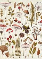 Mushrooms Puzzel 1000 Stukjes - thumbnail