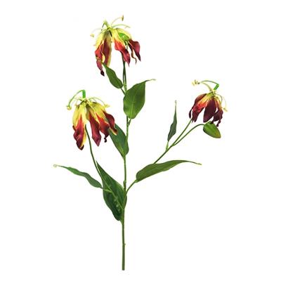 Gloriosa Michelle burgundy 84cm