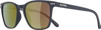 Alpina Yefe Polarized - Sunglasses - thumbnail