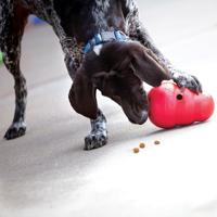 KONG Wobbler - Interactief hondenspeeltje voor het uitdelen van snoepjes - Langzame voerbak voor honden voor gezond eten - Voor middelgrote/grote honden - thumbnail