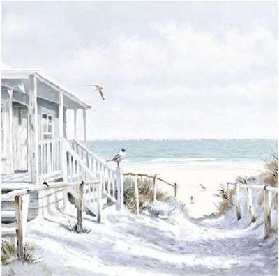 Ambiente servetten 25x25 cm beach cabin