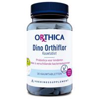 Dino Orthiflor - thumbnail