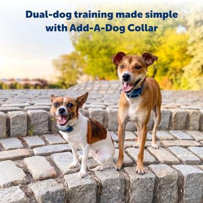 PETSAFE SPRAYTRAINER MET AFSTANDSBEDIENING - thumbnail