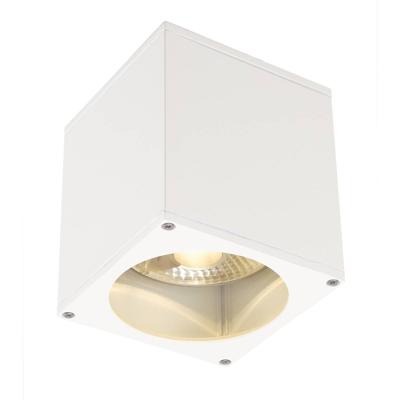 Plafondlamp BIG THEO OUT wit GU10 Plafondlamp BIG THEO OUT wit GU10