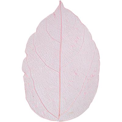 Creativ Company Skeleton leaves , l: 6-8 cm, lichtrood, 20 stuk/ 1 doos Creativ Company Skeleton leaves , l: 6-8 cm, lichtrood, 20 stuk/ 1 doos