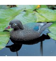 Carolina eend (vr) - vijverdecoratie - thumbnail