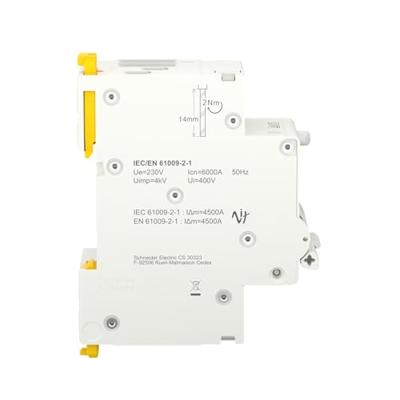 Schneider Electric R9D01620 Aardlekschakelaar/zekeringautomaat