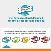 Nylabone kauwbot puppy chew bone souper Gebr. de Boon - Gebr de boon - thumbnail