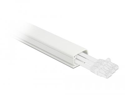 Delock 20720 Kabelgoot PVC Wit (l x b x h) 1 m x 22 mm x 15 mm 1 stuk(s) Delock 20720 Kabelgoot PVC Wit (l x b x h) 1 m x 22 mm x 15 mm 1 stuk(s)