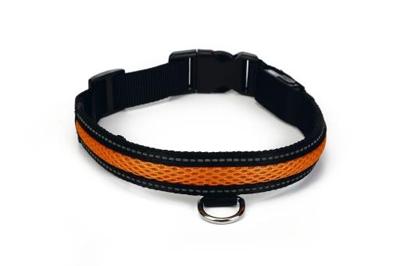 Beeztees Safety Gear Ruflo - Halsband Hond - Incl. Usb - L
