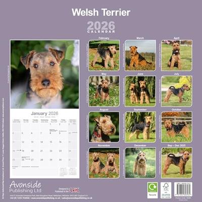 Welsh Terrier Calendar 2026 Square Dog Breed Wall Calendar - 16 Month