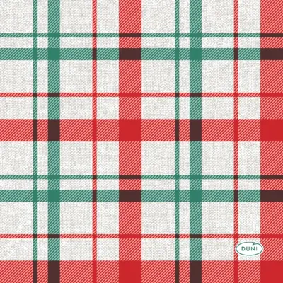 Duni 3-laags tissue servet seasonal delight 24x24cm rood, groen 20 stuks