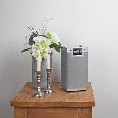 Imperial DABMAN i610 Zilver