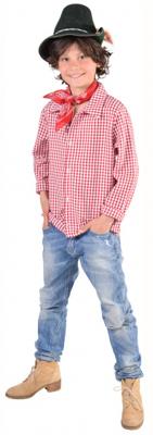 Tiroler blouse ruitje