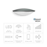 Steinel buitenlamp met sensor antraciet, 3000K 12W 770 lumen L 825 LED IHF, 0599903 - thumbnail