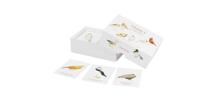 Vogels - Memospel - thumbnail