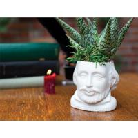 UPG Planter - William Shakespeare - thumbnail