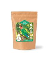 Utopia grote parkieten afrikaans top quality - thumbnail