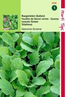 Zaden Raapstelen Groene Hortitops - Hortitops - thumbnail