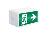 ESYLUX EN10026836 Vluchtwegverlichting Plafondmontage Rechts - thumbnail