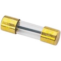 Sinuslive Car-HiFi glaszekering 100 A 1 stuk(s) - thumbnail