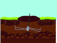 Muizenklem Mol, Woel- en Veldmuis - thumbnail