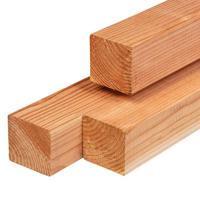 Paal douglas 11,0x11,0x400 cm Tuindeco - Tuindeco - thumbnail