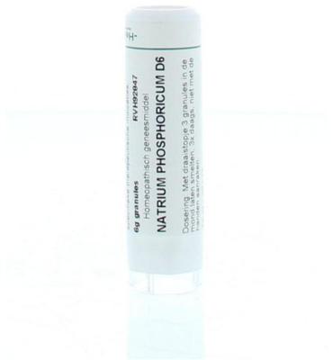 Natrium phosphoricum D6