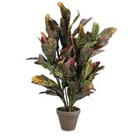 Decoratieve plant Mica Decorations Croton Groen PVC (73 x 40 cm) - thumbnail