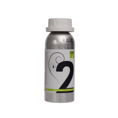 Woma Woma Wortelstimulator Nr.2