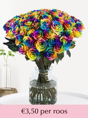 Regenboog rozen - XL rozen - 10 t/m 49 rozen Regenboog rozen - XL rozen - 10 t/m 49 rozen