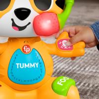 Educatief Spel Fisher Price Link Squad Tiger Body Parts - thumbnail