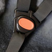 Edge cargocomfy peuterschaal - 7-19 maanden - grijs - thumbnail