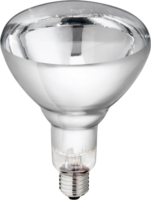 Hard Glas Lamp 150 W - Wit Hard Glas Lamp 150 W - Wit