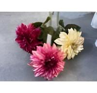 Single dahlia cream 74 cm - Driesprong collection - thumbnail