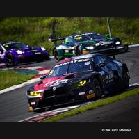 Panasonic Lumix G LEICA DG VARIO-ELMAR 100-400mm F/4.0-6.3 II ASPH. POWER O.I.S. (H-RSA100400E) - thumbnail