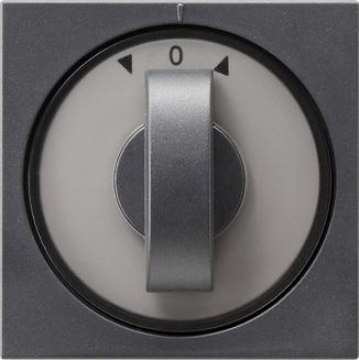 Gira bediening voor jaloezie draaischakelaar antraciet