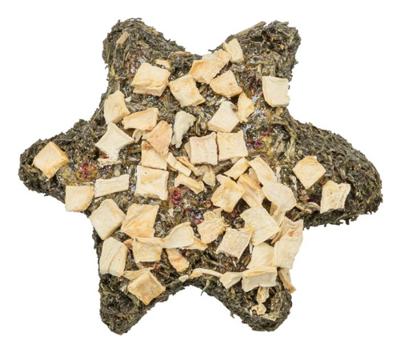 TRIXIE XMAS STER MET PASTINAAK / RODE BIET MET PETERSELIE