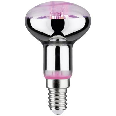 Paulmann LED-plantenlamp groei 230 V E14 4 W Barnsteen 1 stuk(s)