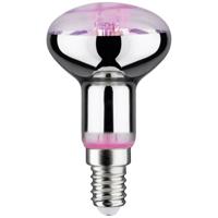 Paulmann LED-plantenlamp groei 230 V E14 4 W Barnsteen 1 stuk(s) - thumbnail