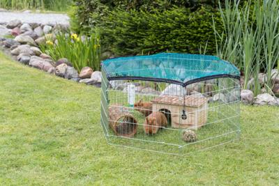TRIXIE NATURA KNAAGDIERREN MET BESCHERMNET DIA 120 CM 63X58 CM TRIXIE NATURA KNAAGDIERREN MET BESCHERMNET DIA 120 CM 63X58 CM