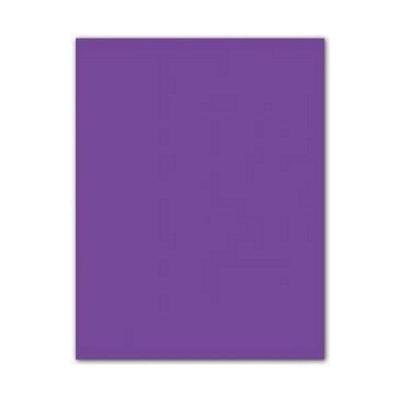 Fiches Iris Paars 50 x 65 cm