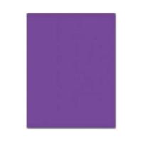 Fiches Iris Paars 50 x 65 cm - thumbnail