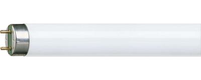 Philips MASTER TL-D HF Super 80 fluorescente lamp 50 W G13 Koel wit A+