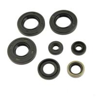 Keerringset Derbi Euro 3-4 >2006 - thumbnail