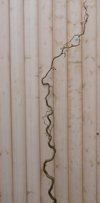 Luxe paastak Warentuin Natuurlijk - Warentuin natuurlijk Luxe paastak Warentuin Natuurlijk - Warentuin natuurlijk