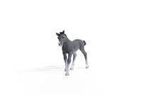 Schleich horse club trakehner veulen 13944 - thumbnail