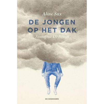De jongen op het dak (Hardback)
